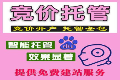 SEM外包服务优势案例分析